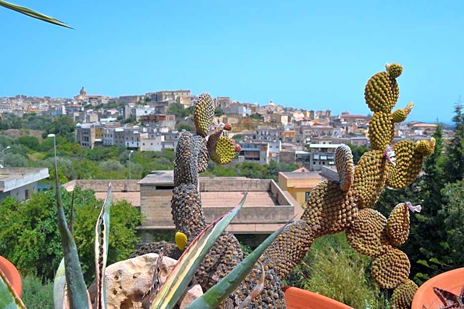 Villa Ambra B&B