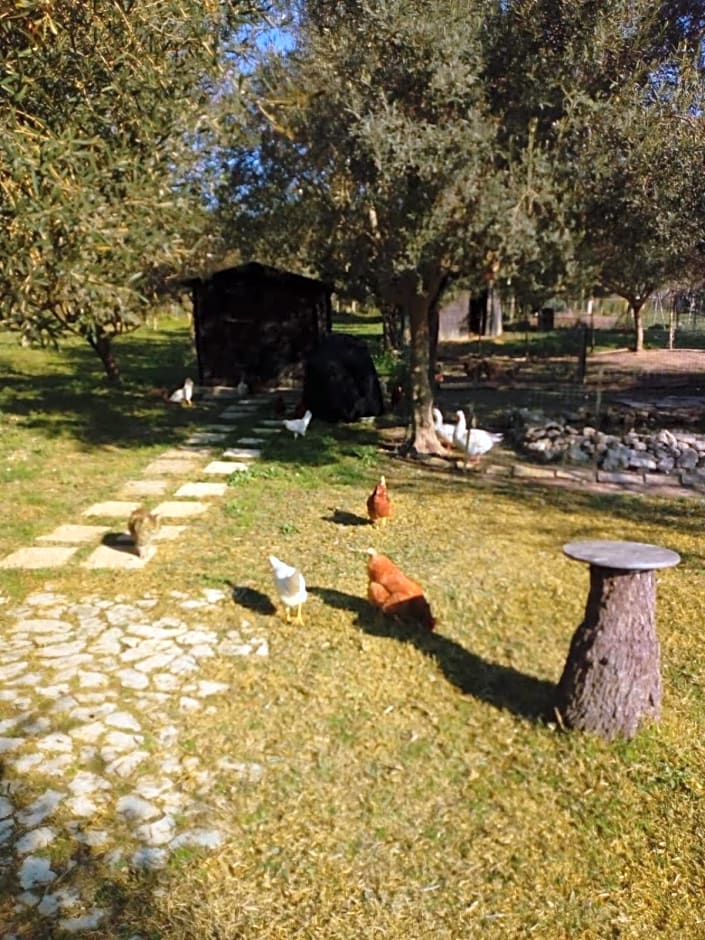 Il Poggetto Marzamemi B&B