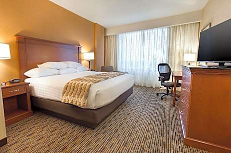 King Suite with Sofa Bed - Accessible, Roll-in Shower