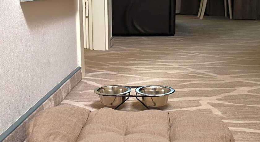 Radisson Hotel City Centre Odesa