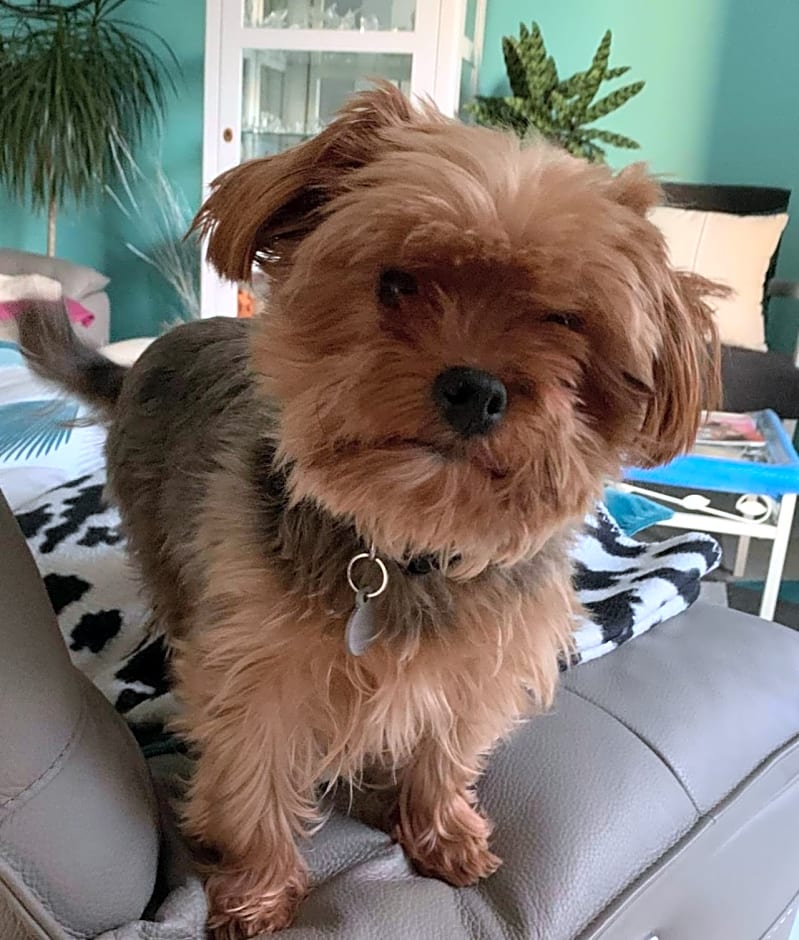 brest chambres d'hôtes