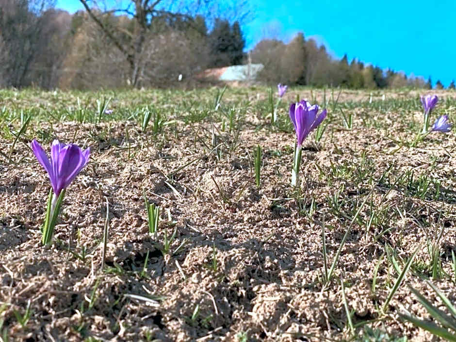 Apartmán Bella Donovaly v hotelovom komplexe