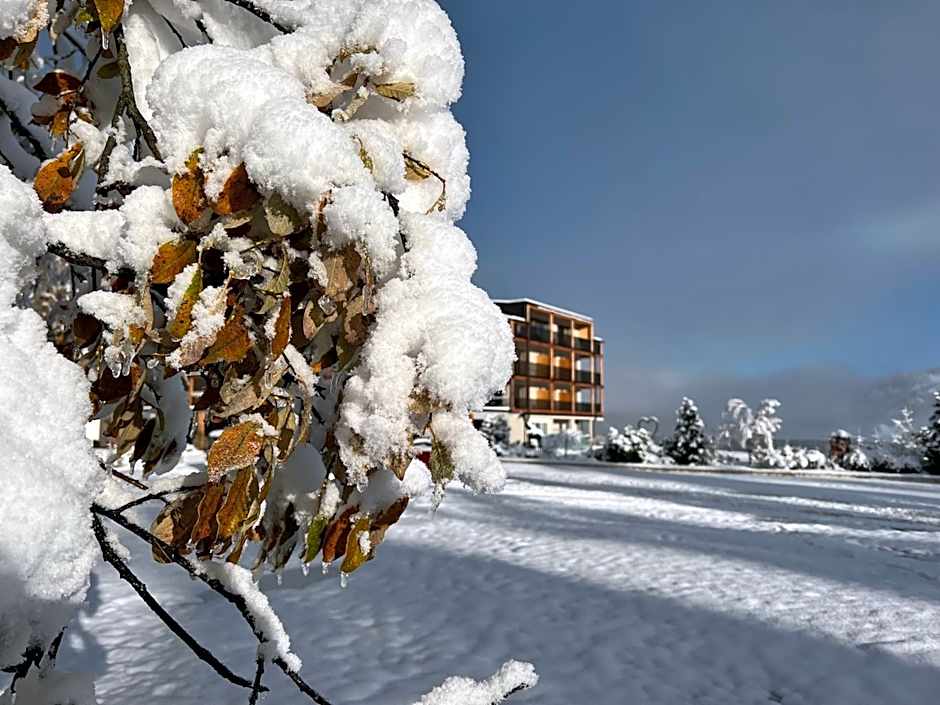 Hotel Lech Da Sompunt