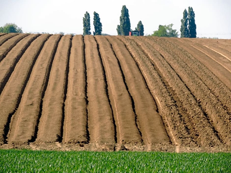 Chambres d'Hôtes de la Bucaille
