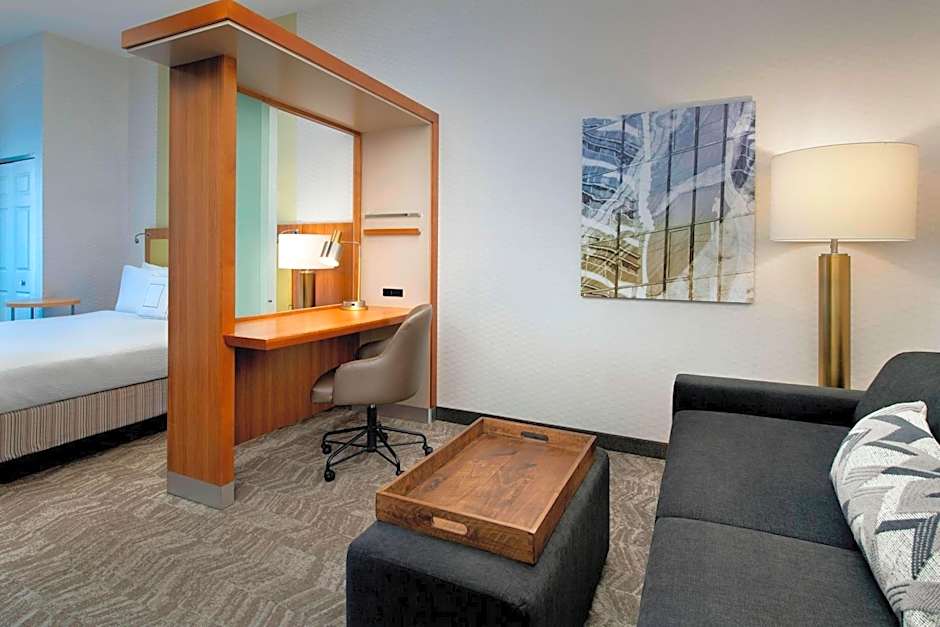 SpringHill Suites by Marriott Alexandria