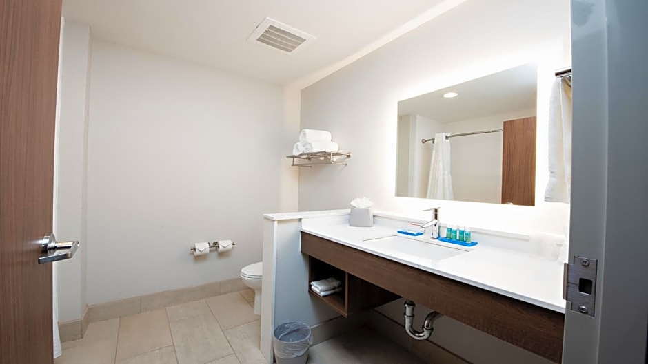 Holiday Inn Express & Suites Houston SW - Sharpstown By IHG