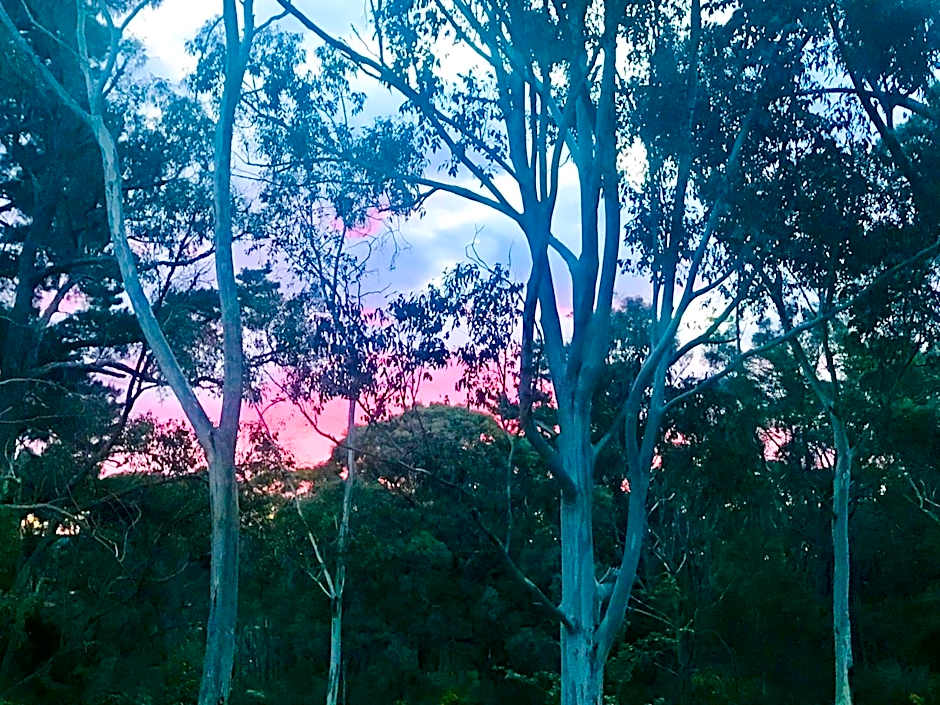 Eastern Hill Creswick