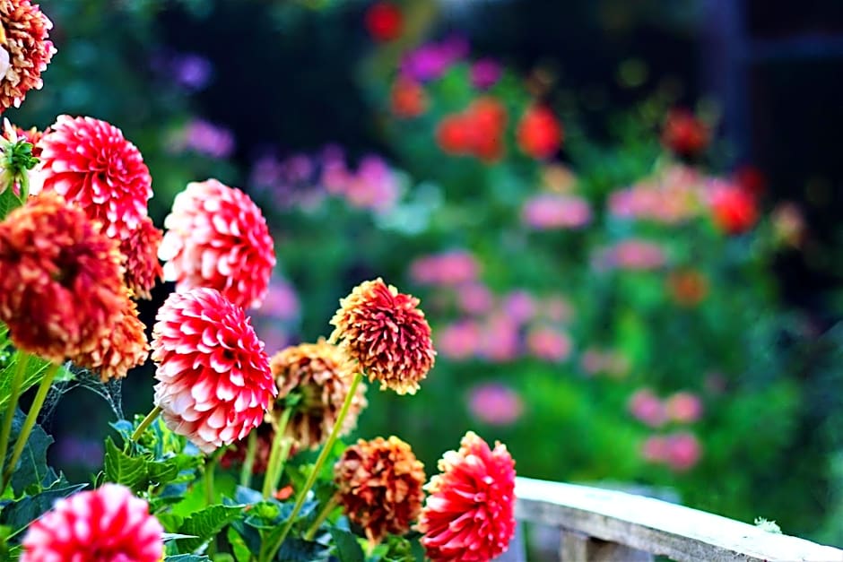 Duvauchelle Seaside Motel