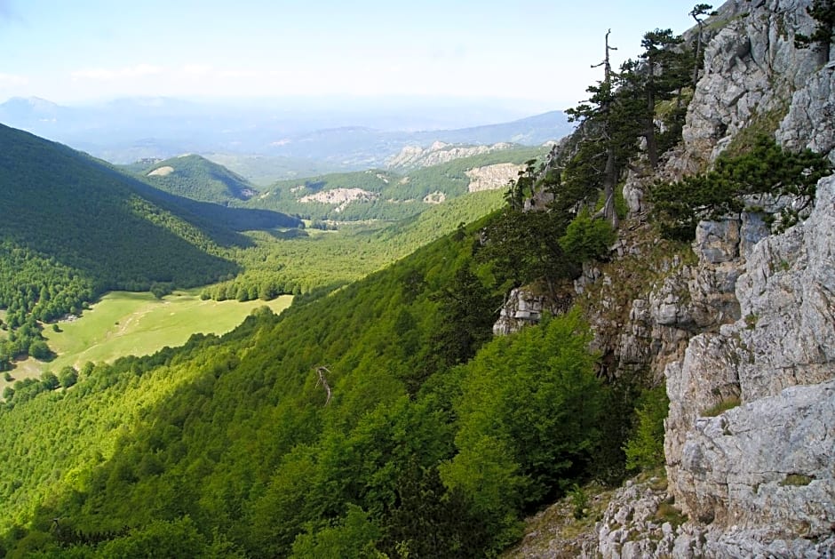 Tana Libera Tutti 1 Nature, Yourself, Love