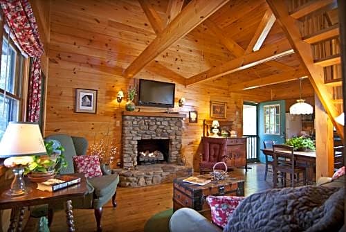 Mountain Springs Cabins