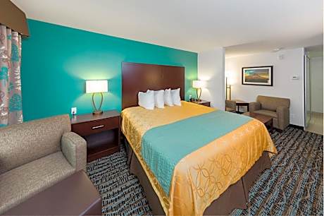 King Room - Not Pet Friendly
