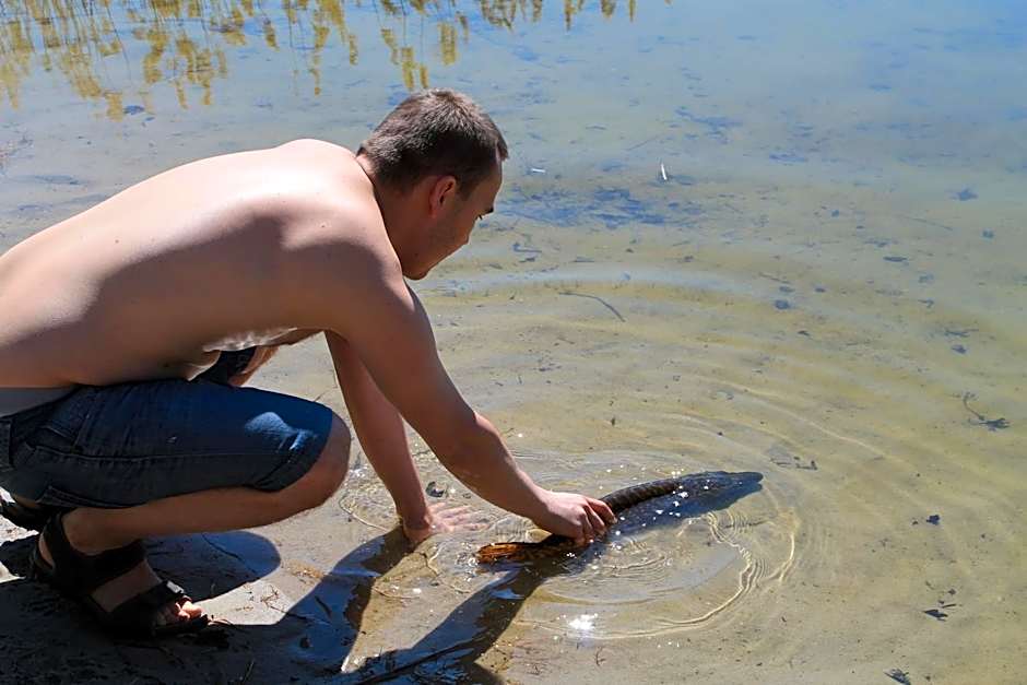 Stajnia Sarnówek Nad Jeziorem Różany