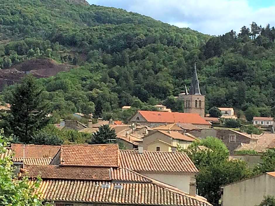 Hôtel et appartements les platanes