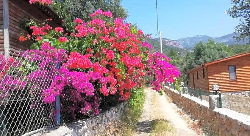 Bahar Bahce Datca