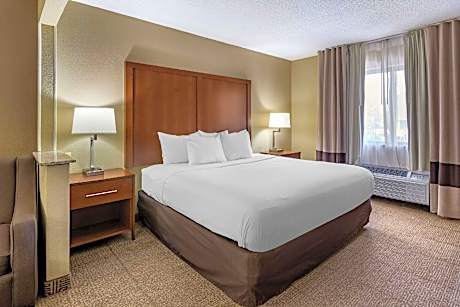 1 King Bed, Suite, Nonsmoking