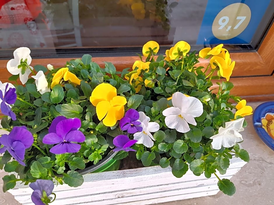 B&B La casa di Loretta