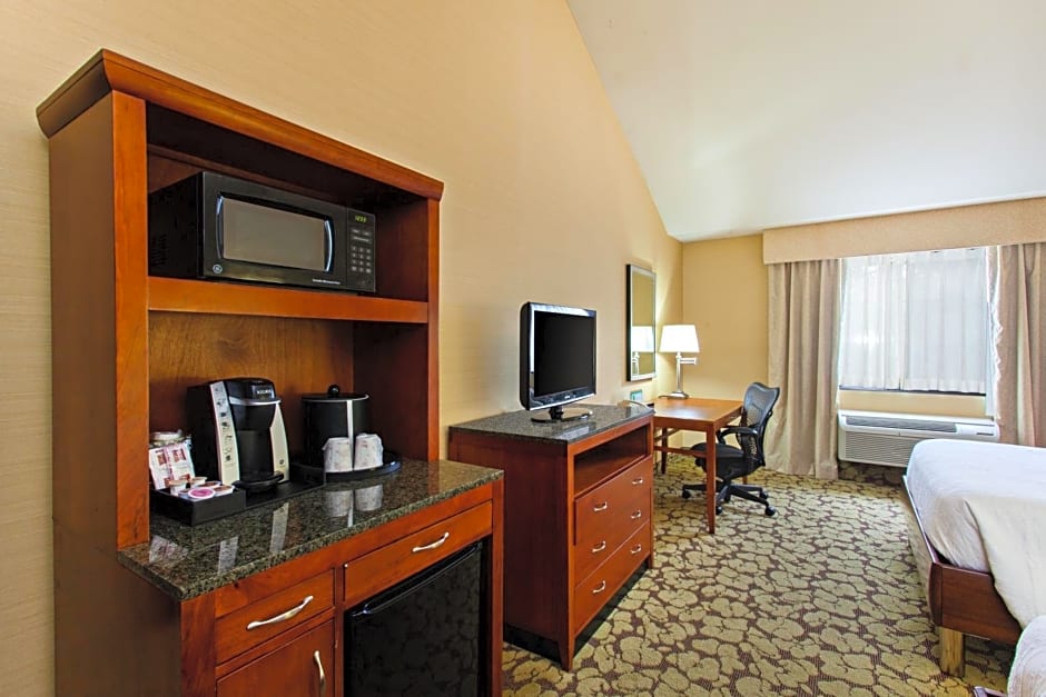 Hilton Garden Inn Valencia Six Flags