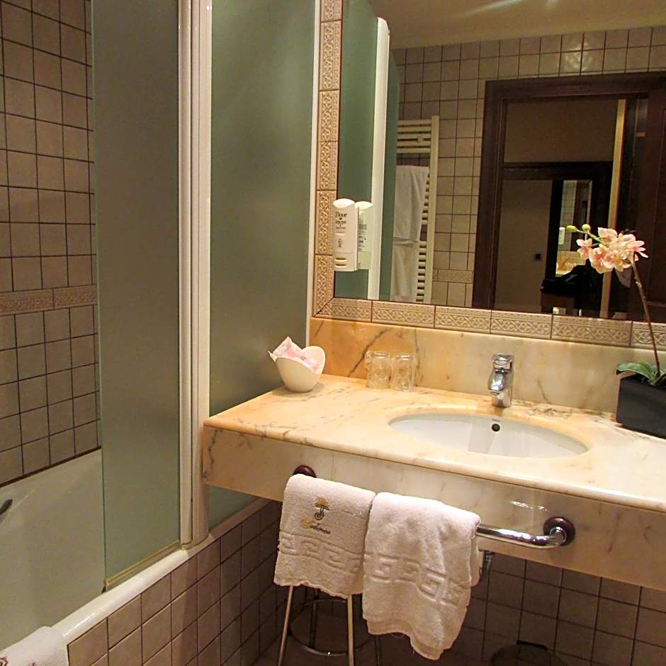 Hotel Spa Tudanca Aranda