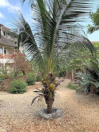 Tropicana Kendwa Beach Hotel