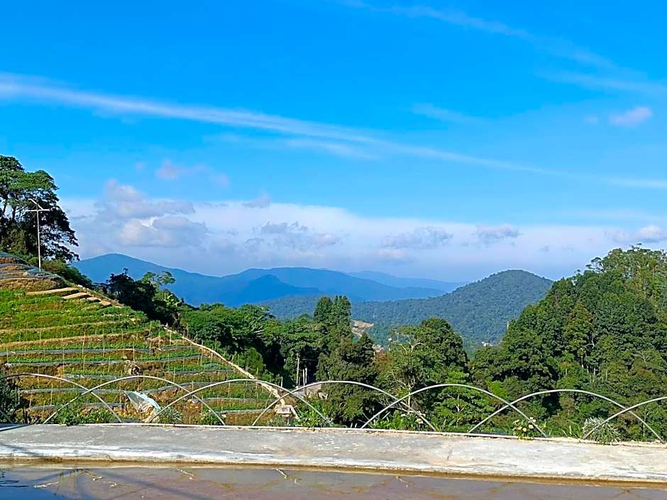 Cameron Highlands Blueberry Earth House