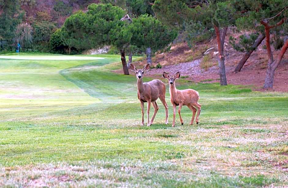 The Ranch at Laguna Beach