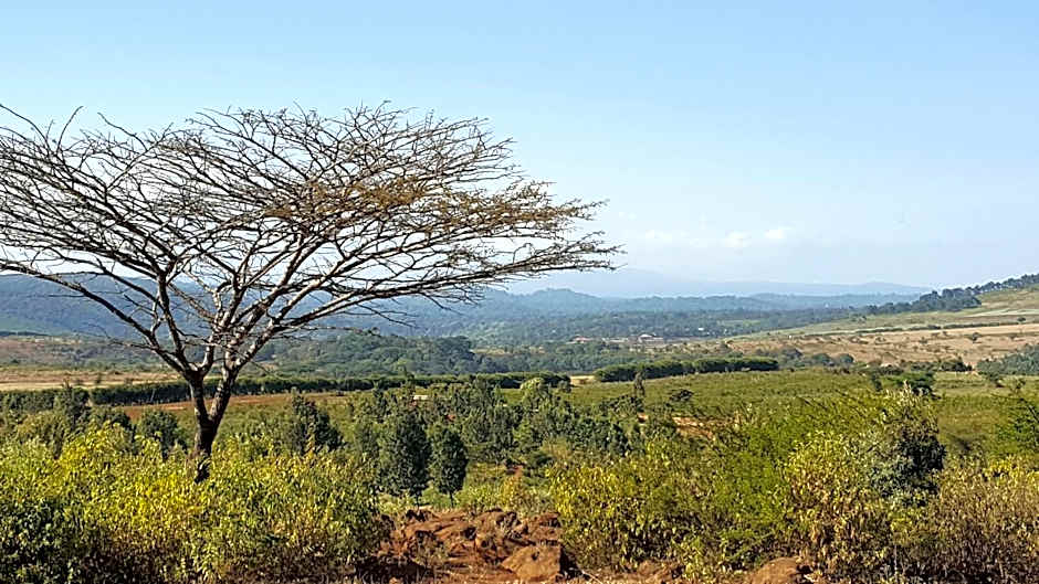 Tanzanice Farm Lodge