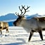 Kirkenes Hotell