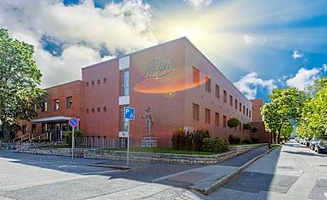 Hotel Mayer Superior Veszprém