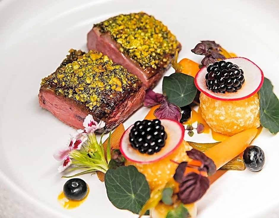 Monte Pacis Hotel In Pažaislis - Pets travel for FREE in February