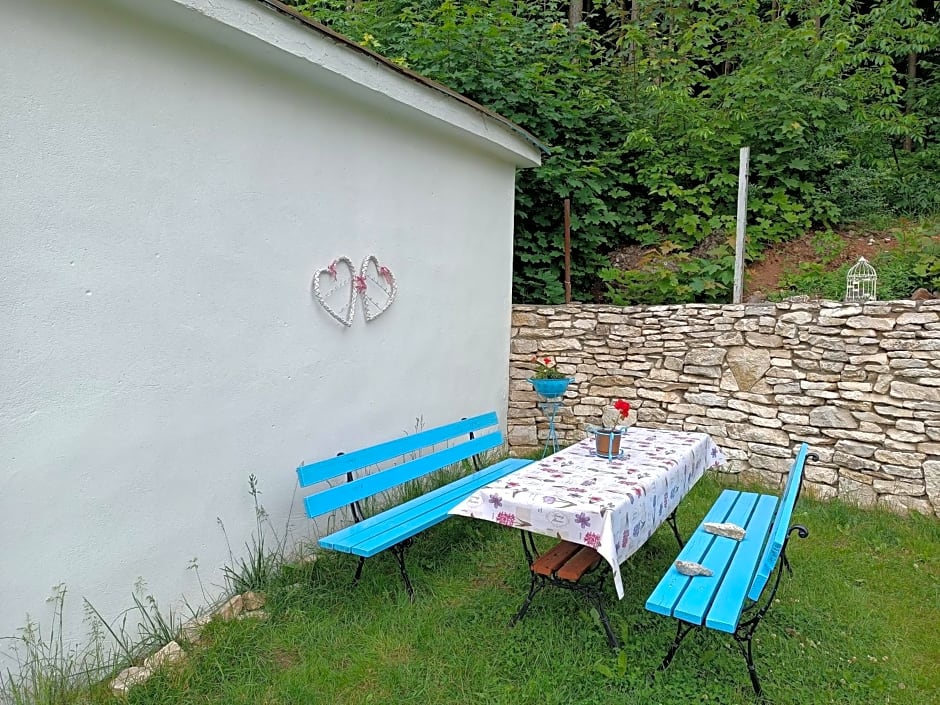 Willa Bona blisko Zamku Królewskiego i Rezerwatu zapraszam na grę miejską Magiczne Chęciny