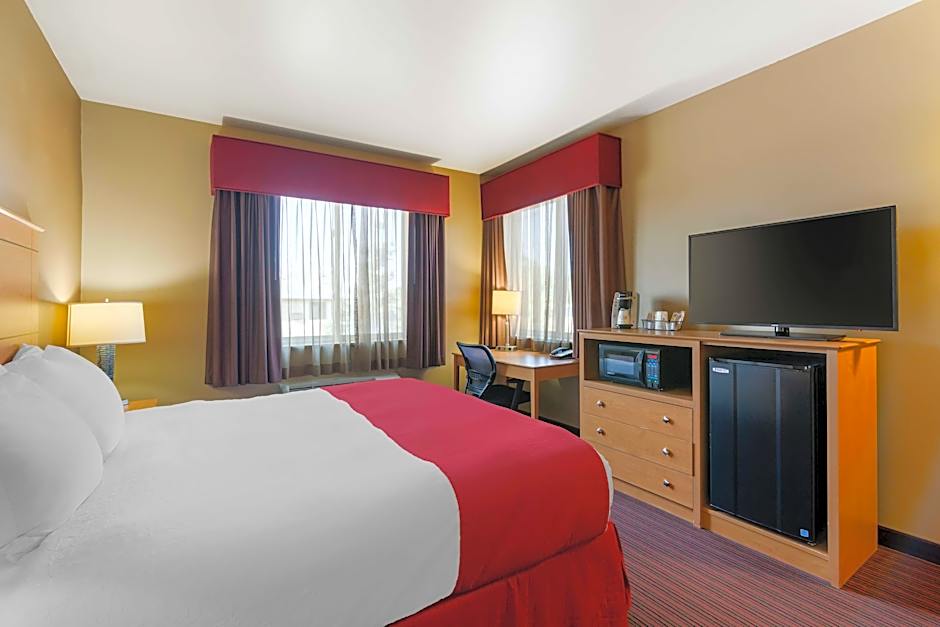 Photo 1 of 6 of 1 King Bed, Hearing/Mobility Accessible, Roll in Shower