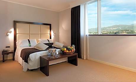 Suite with Gym access