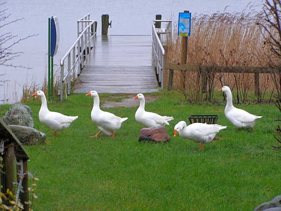 Hotel Fährhaus Niederkleveez