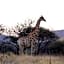Morokolo Safari Lodge Self-catering
