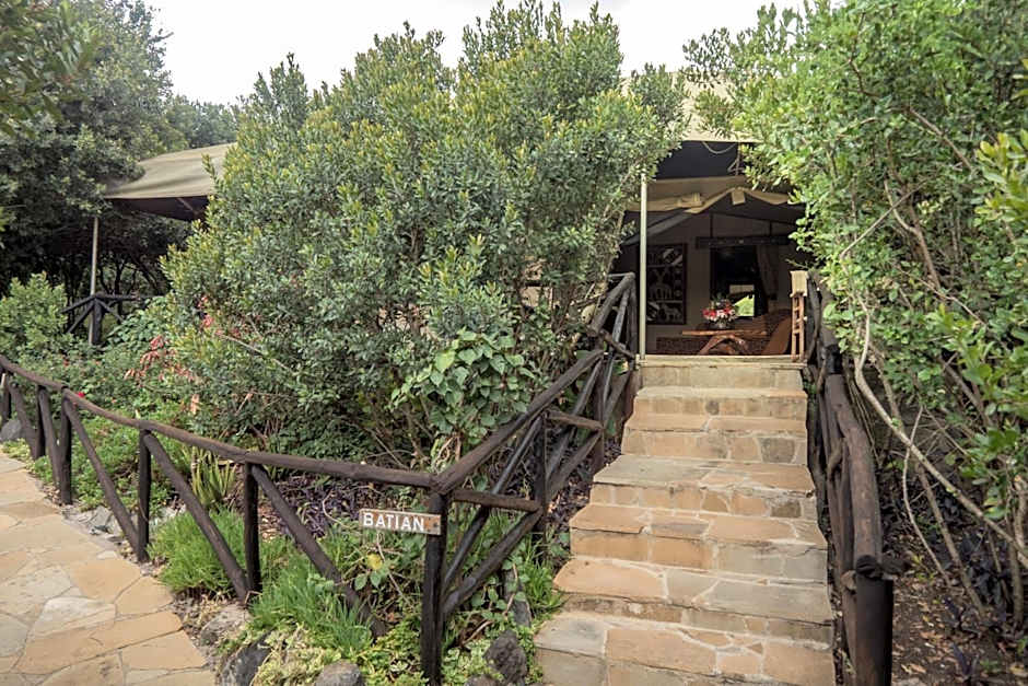 Rhino Watch Safarilodge