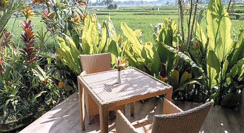 Padi Bali Eco Villas