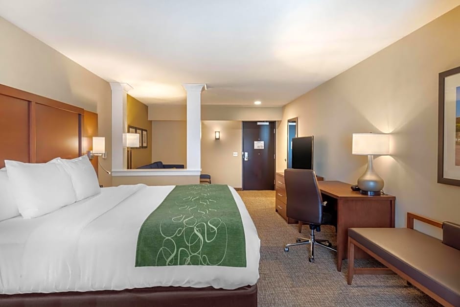Comfort Inn & Suites Schenectady - Scotia