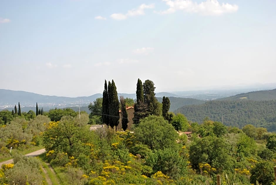 B&B Lavanda e Rosmarino