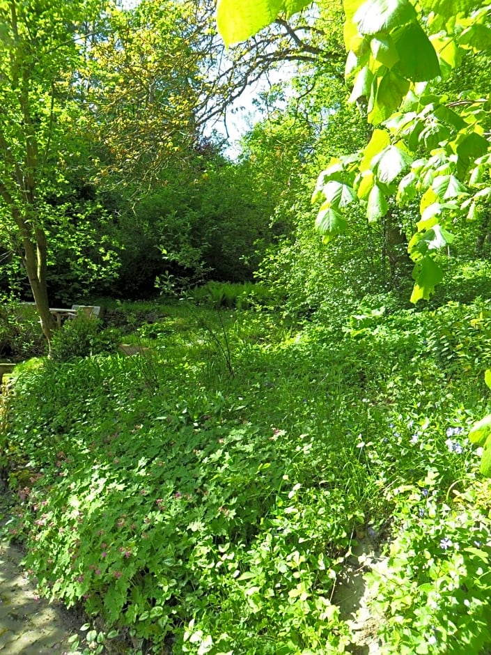 Höllenmühle Bed & Breakfast at the Mill Pond