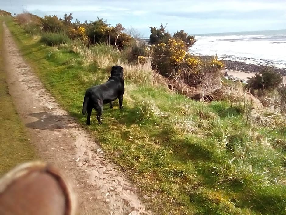 Sea Song, Selkie House