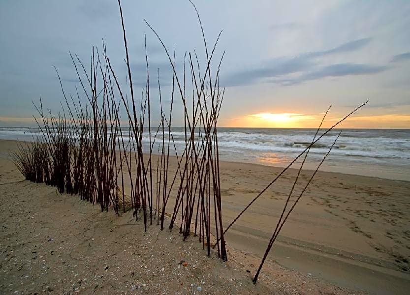 Pension 't hofje 350 meter van het strand