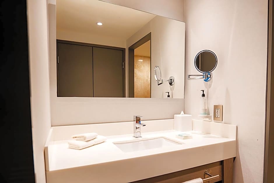 Hilton Garden Inn Mexico Santa Fe