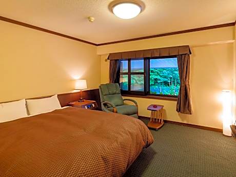 Double Room - Non-Smoking