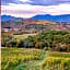 Tenuta Grimaldi Wine Resort