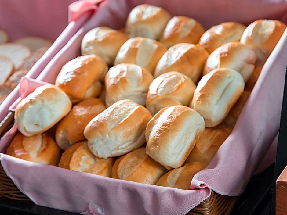 ibis Presidente Prudente