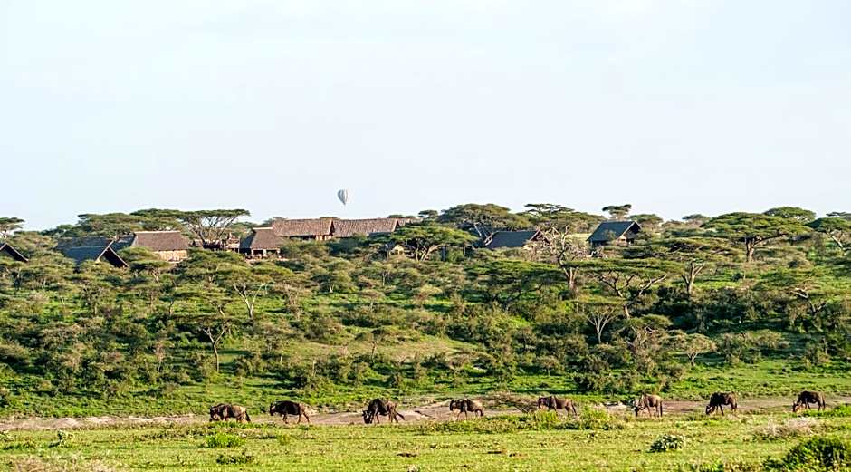 Lake Ndutu Luxury Tented Lodge