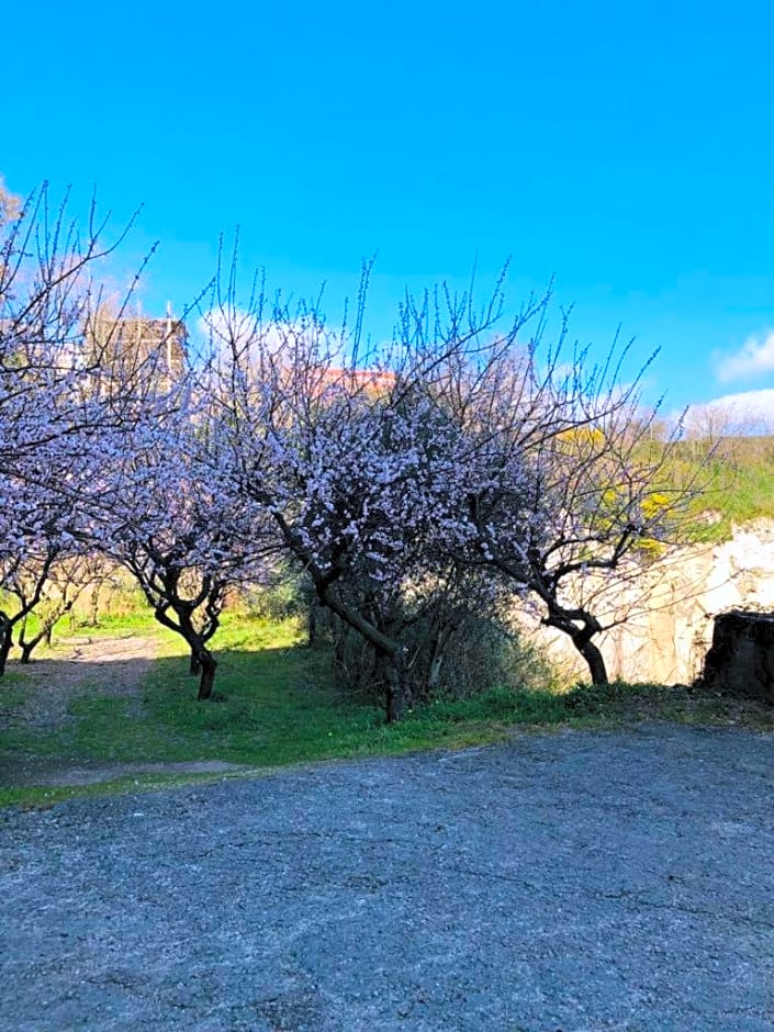 La Casa nel Parco