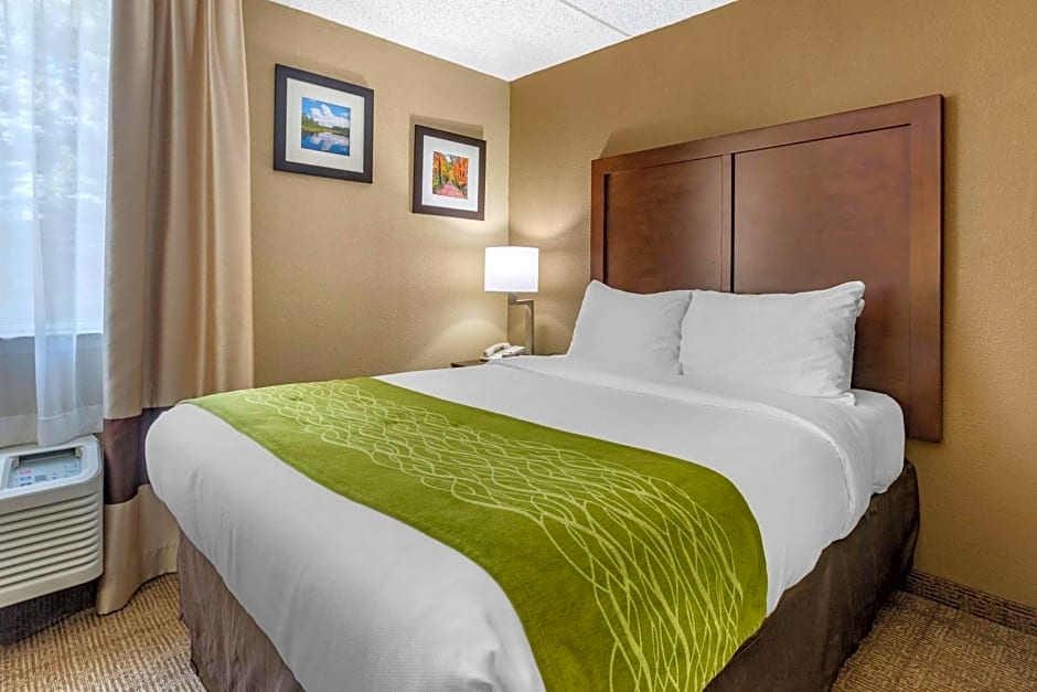 Comfort Inn Edison