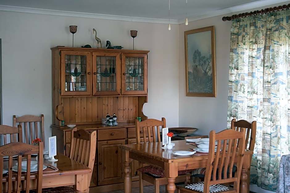 Blue Fern of Knysna
