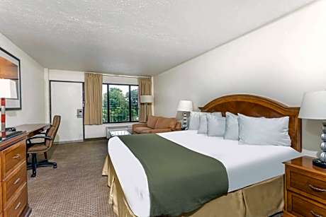 King Room - Pet Friendly/Non-Smoking